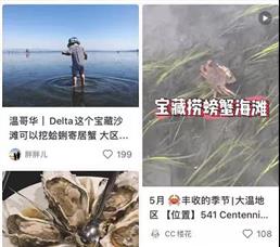 糟心！列治文华人一家沙滩上挖蛤蜊，惨遭罚款$5200！