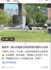 状态好到爆！54岁王祖贤温哥华遛狗，又仙又美被赞宛如少女