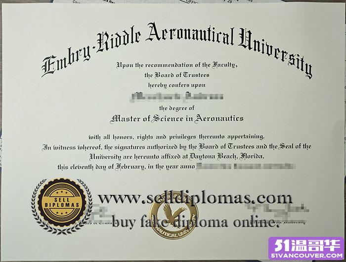 Embry-Riddle Aeronautical University.jpg