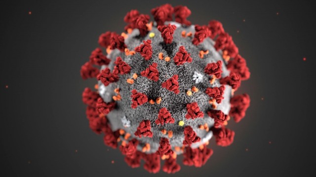 Coronavirus