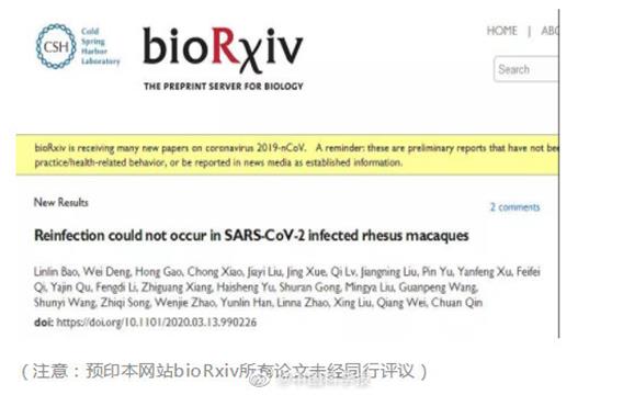 动物实验显示：新冠病毒不会发生二次感染