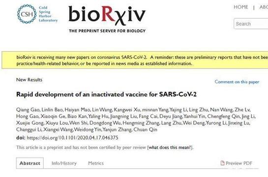 接种7天后，试验猴的肺已检测不到新冠病毒