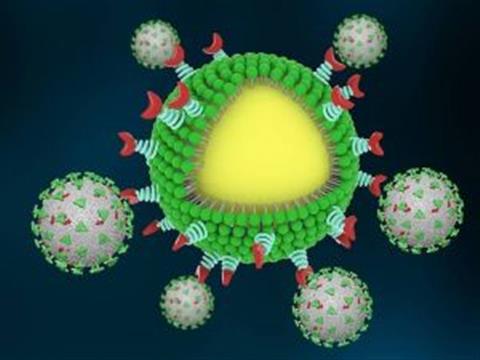 芝加哥大学最新研究：这一疗法能成功歼灭新冠