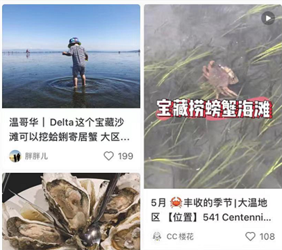 加拿大华人一家沙滩上挖蛤蜊，惨遭罚款$5200